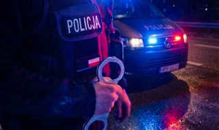 Wyrzucił kocięta w plastikowych workach do śmietnika. Cztery nie przeżyły. Za zlecenie wziął 50 zł [Wideo]