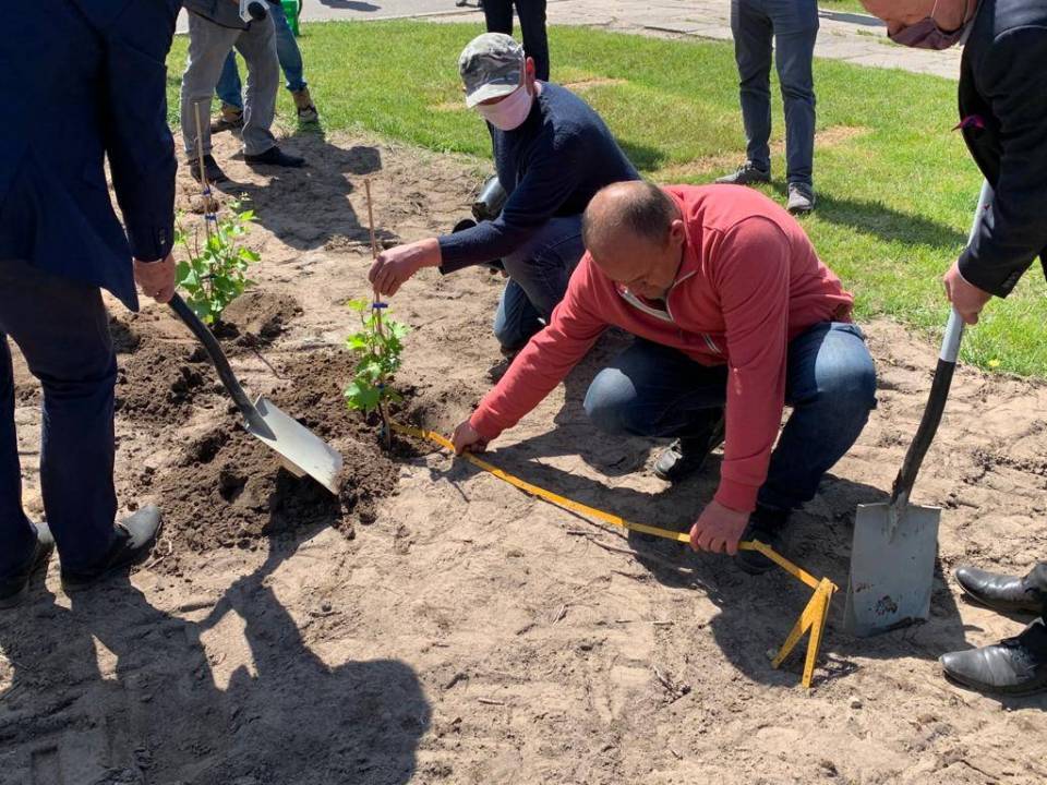 Na terenie Łódzkiego Ośrodka Doradztwa Rolniczego w Bratoszewicach powstaje winnica