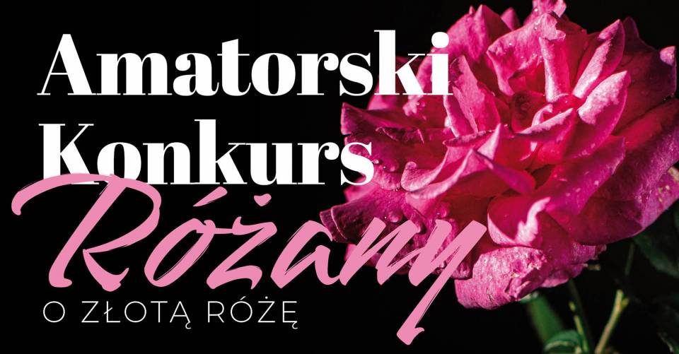 Amatorski-Konkurs-Rozany-2024-head